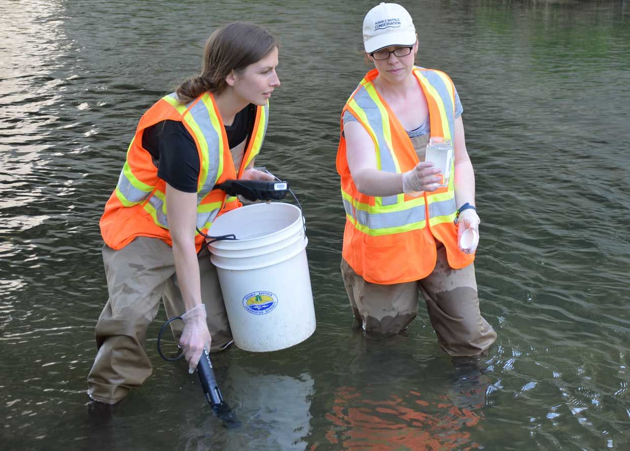Surface water quality info is one of the areas monitored in the Watershed Report Cards.